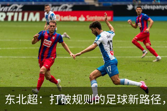 东北超：打破规则的足球新路径，苏超的启示与挑战！
