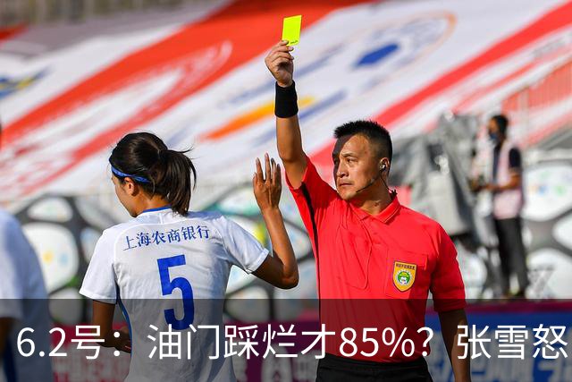 6.2号：油门踩烂才85%？张雪怒了：FIM的电子脚镣！